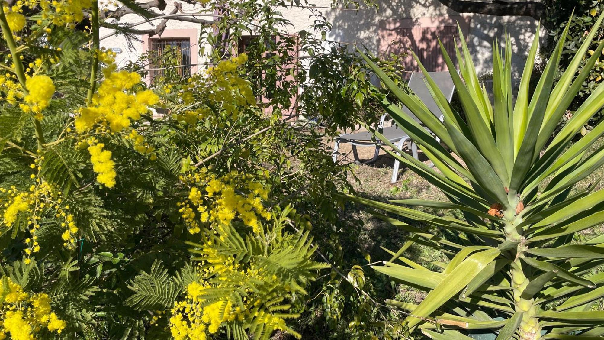 Large Private Garden, Quiet 2-Bedroom Apartment, Air Conditioning, Wifi, Parking Каси Екстериор снимка